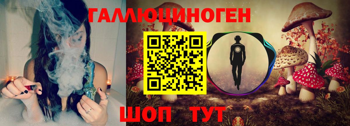 Клинцы  Галлюциногенные грибы прущие грибы  Вход с VPN 